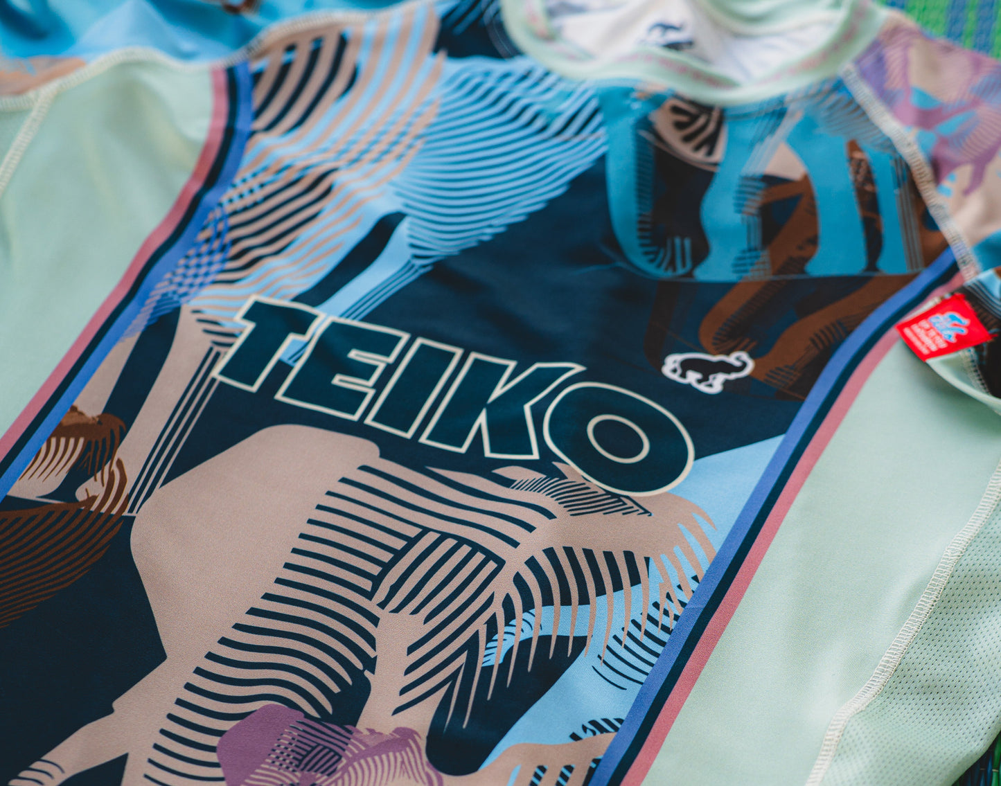 Teiko Rashguard "Teikochang"
