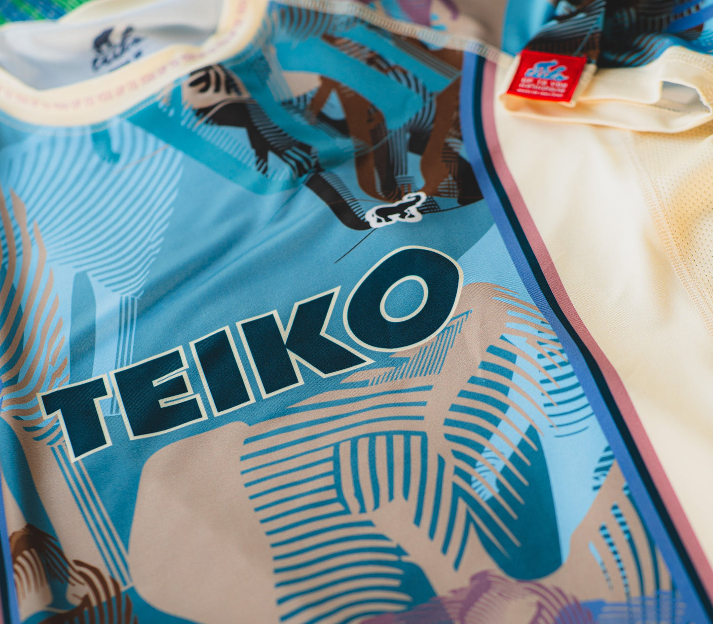 Teiko Rashguard "Teikochang"
