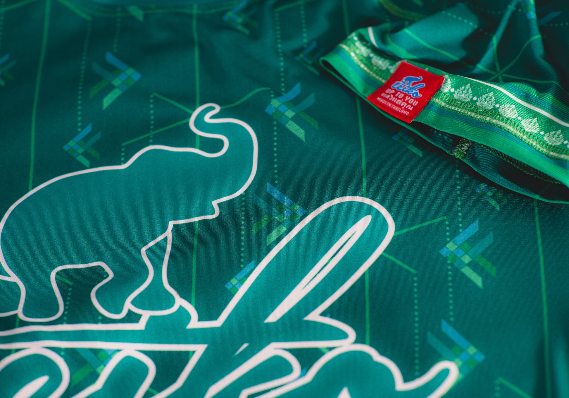 Teiko Rashguard "Chang Kiauw"